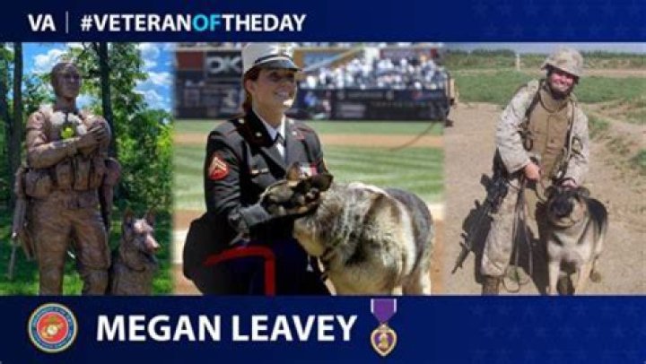 A Hero's Journey: The Extraordinary Story Of Megan Leavey