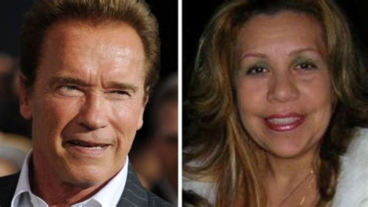 Arnold Schwarzenegger's Son Hired As Housekeeper: A Family Affair