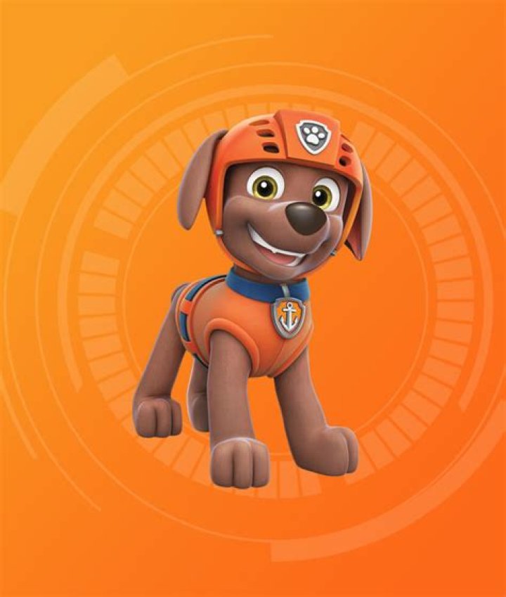 Catchphrases And Memorable Sayings Of Zuma From Paw Patrol