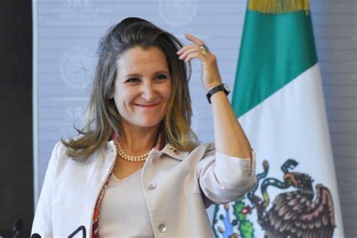 Chrystia Freeland: Uncovering Her Physical Attributes
