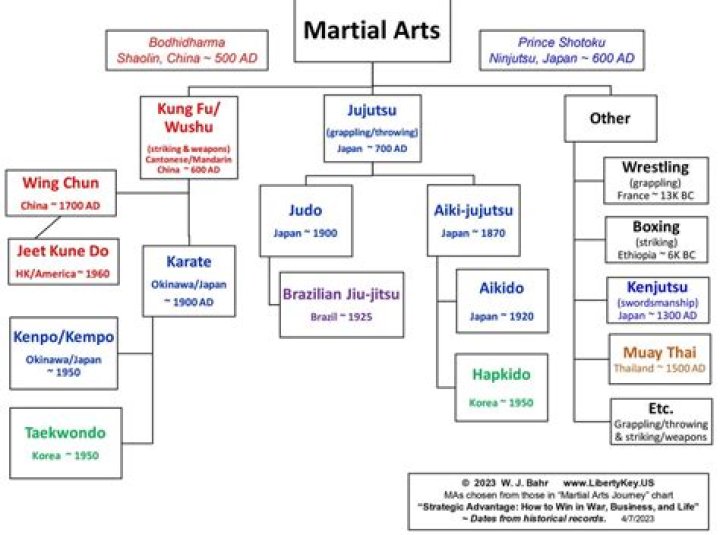 Cung Le: The Height Of A Martial Arts Legend