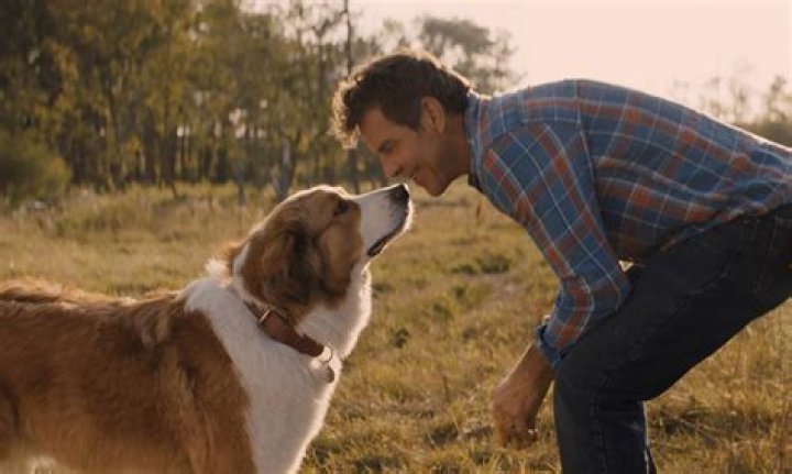 Dennis Quaid: A Glimpse Into His Marital Journey
