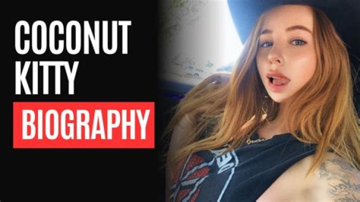 Discovering The Enchanting World Of Coconut Kitty 143: A Comprehensive Guide