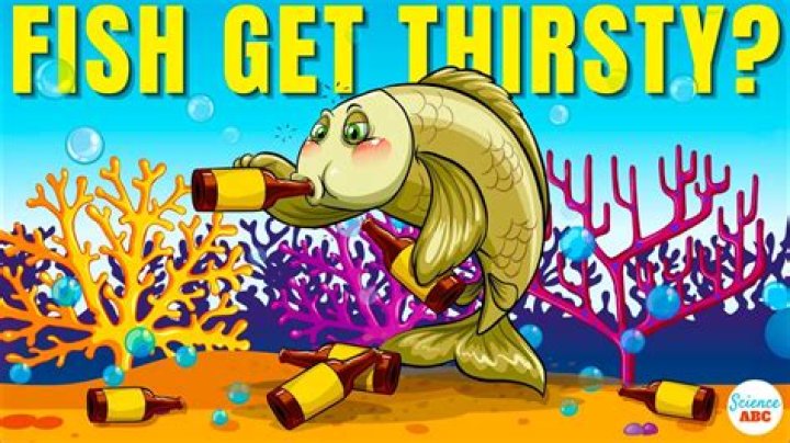 Do Fish Get Thirsty? Unlocking The Marine Hydration Mystery