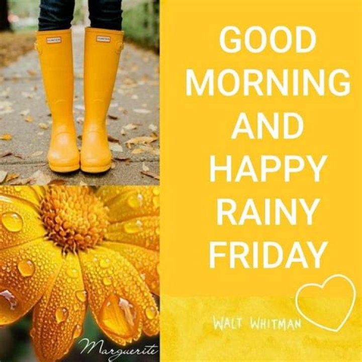 Embracing The Charm Of A Good Morning Rainy Friday