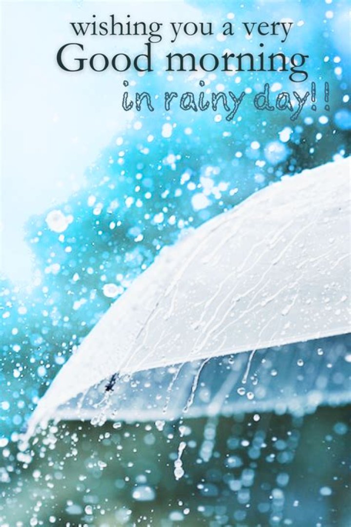 Embracing The Delight Of A Good Morning Happy Rainy Saturday