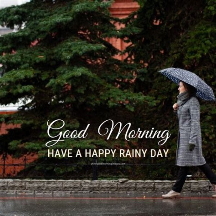 Embracing The Serenity Of A Good Morning Raining Day