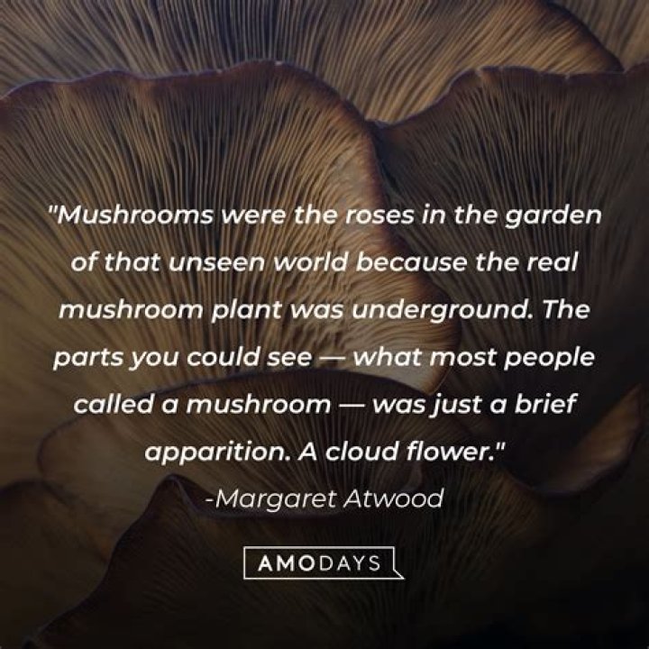 Epic Fungus Quotes: Wisdom From The Mycological Realm
