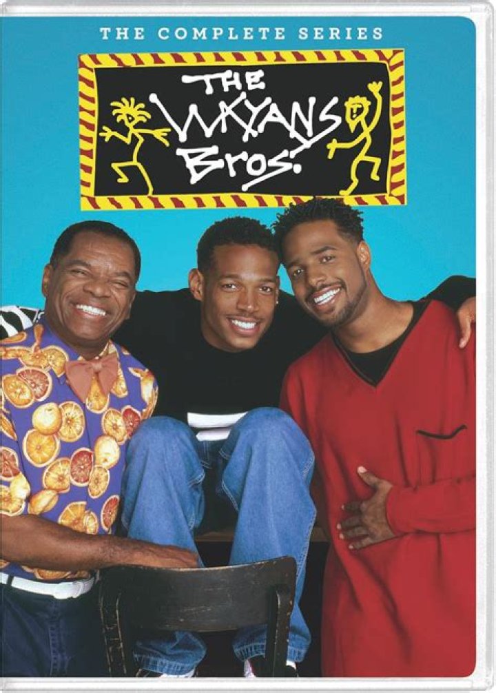 Essential Guide To "The Wayan Brothers TV Show"
