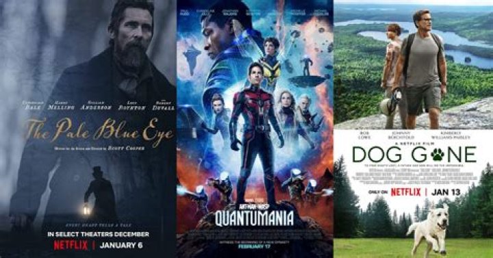 Explore The Cinematic Masterpieces: Discover The Best Movies Hollywood Has To Offer