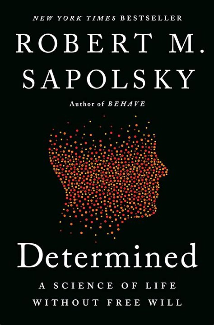 Exploring The Life And Work Of Lisa Sapolsky