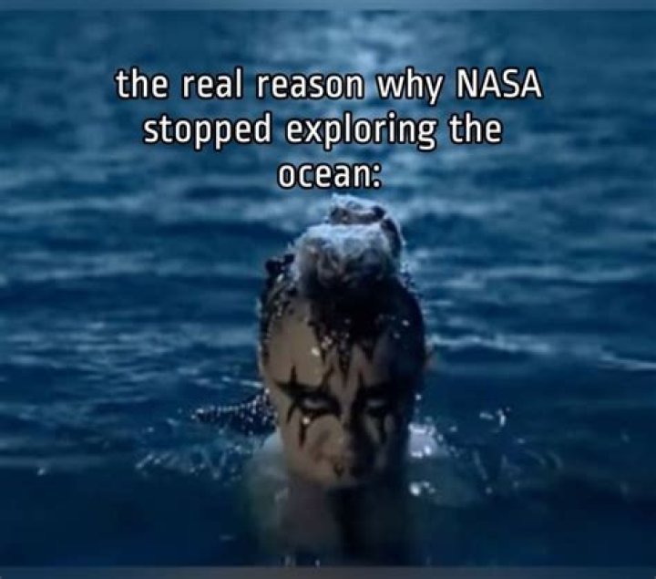 Exploring The World Of Disappointment Memes