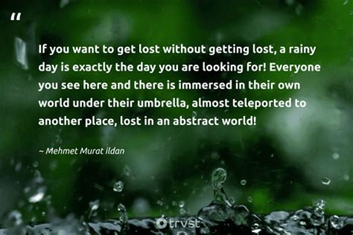 Find Joy In The Rain: Uplifting Quotes To Brighten Rainy Days