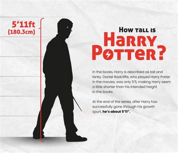 How Tall Is Harry Jowsy: The Stats Behind His Height