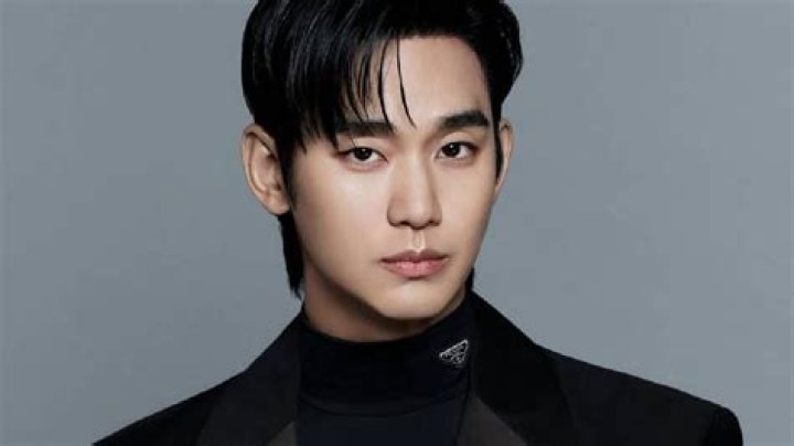 Kim Soo-hyun's Children: Facts And Speculation
