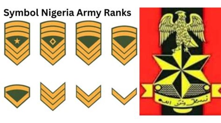 Navigating The Hierarchy: Understanding Nigeria Army Rank