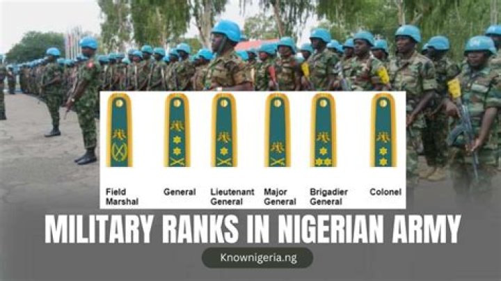 Navigating The Hierarchy: Understanding Nigeria Army Ranks