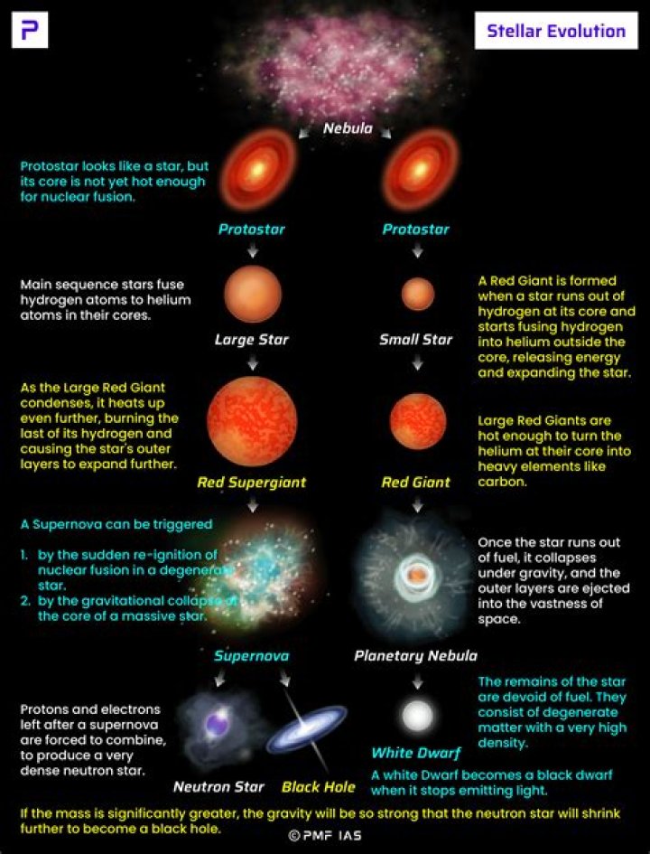 OITNB: A Deep Dive Into The Stellar Cast And Their Iconic Roles