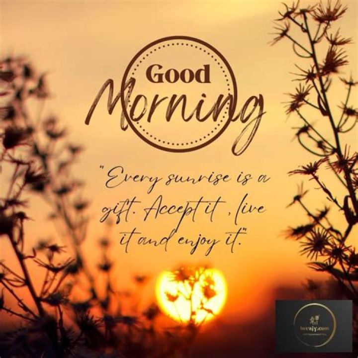 Say Good Morning With A Friendly Greeting To Your Companion