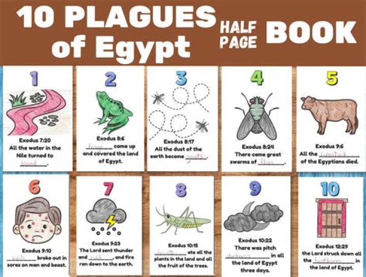 The Baffling Mystery: What Ailment Plagues Hasbulla?