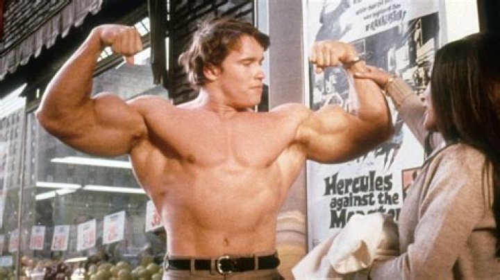 The Inspiring Tale Of Arnold Schwarzenegger's Mother: A Legacy Of Strength