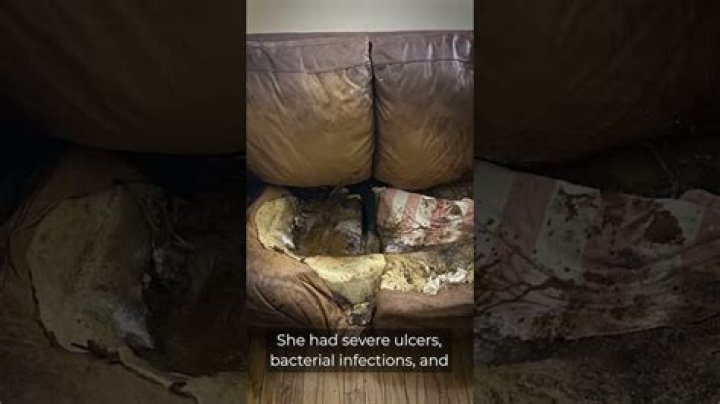 The Mysterious Corpse Of Lacey Fletcher: Uncovering The Truth