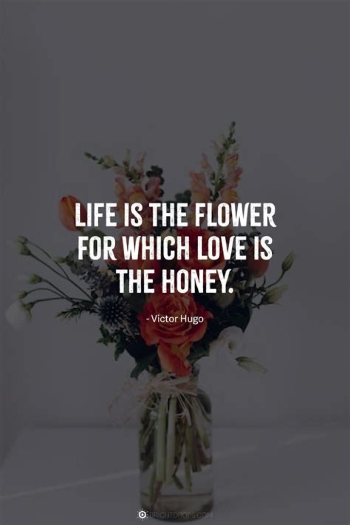 The Ultimate Collection Of Beautiful Quotes About Flowers