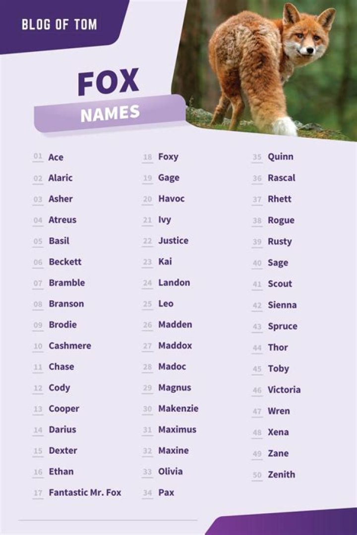 The Ultimate Guide To Choosing The Best Fox Names