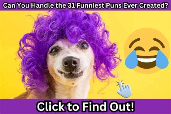 The Ultimate Guide To Driving With Laughter: Car Puns That Will Make You Wheely Good