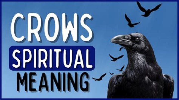 The Ultimate Guide To The Crow Bible Meaning: Unlocking Its Secrets