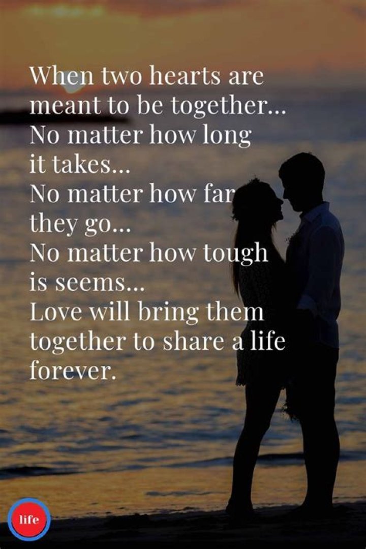 Timelessly Bonded: A Collection Of Forever Together Quotes