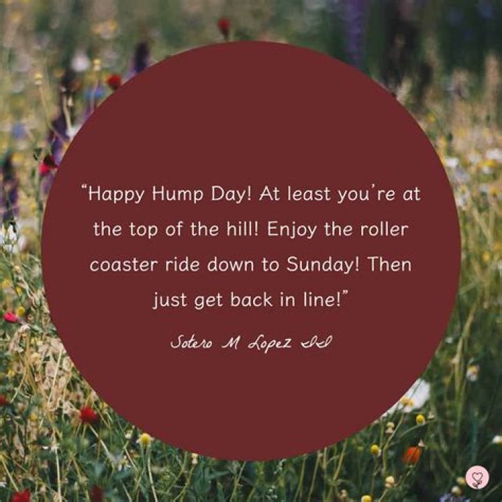 Ultimate Wednesday Wisdom: Inspiring Quotes To Brighten Your Hump Day