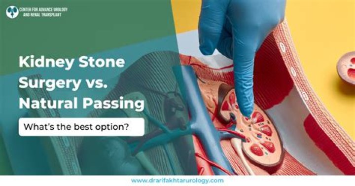 Understanding Kidney Surgery Scars: What To Expect