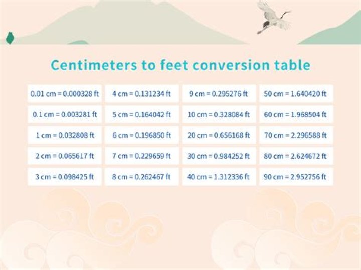 Understanding The Conversion Of 1 65 Cm In Feet