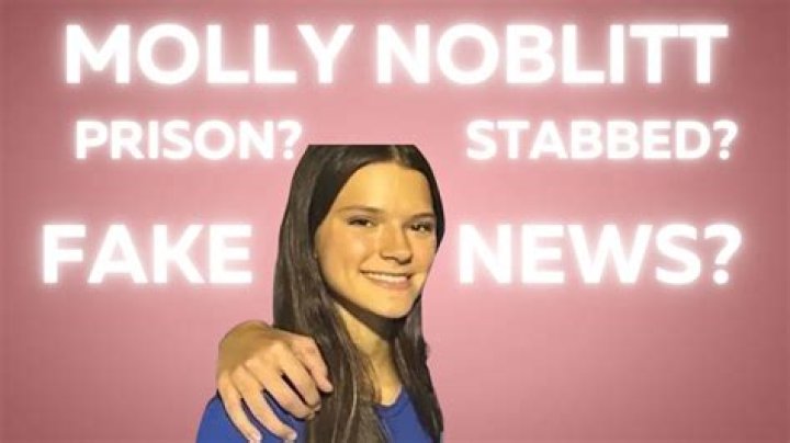 Unraveling The Mystery: Did Molly Nobit Get Arrested?