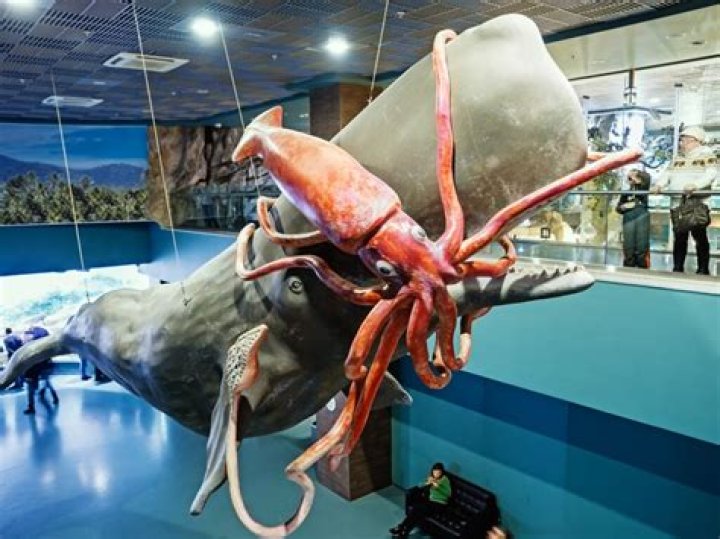 Unveiling The Colossal: Discover The Largest Shopping Mall In The United States