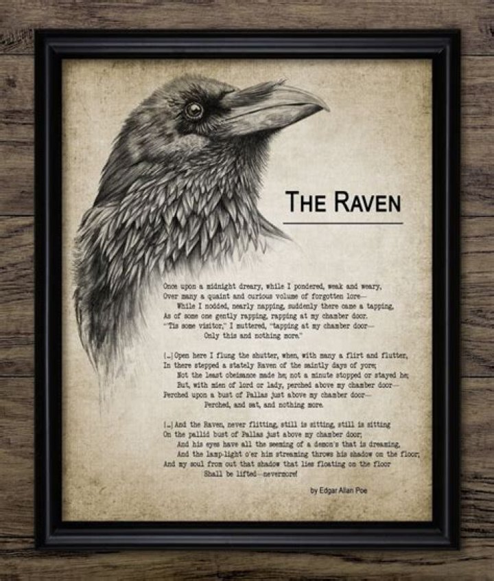 Unveiling The Enigma Of Raven Liberty