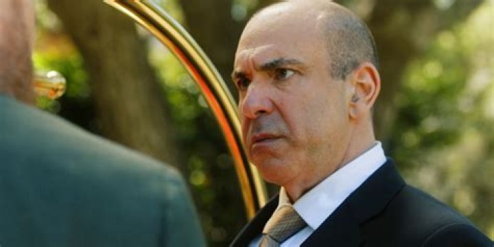 Unveiling The Life Of Louis Litt's Actor Wife