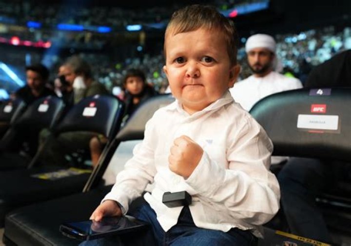 Why Hasbulla Magomedov Has Growth Hormone Deficiency